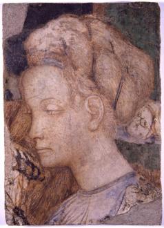 Testa di donna Public domain
