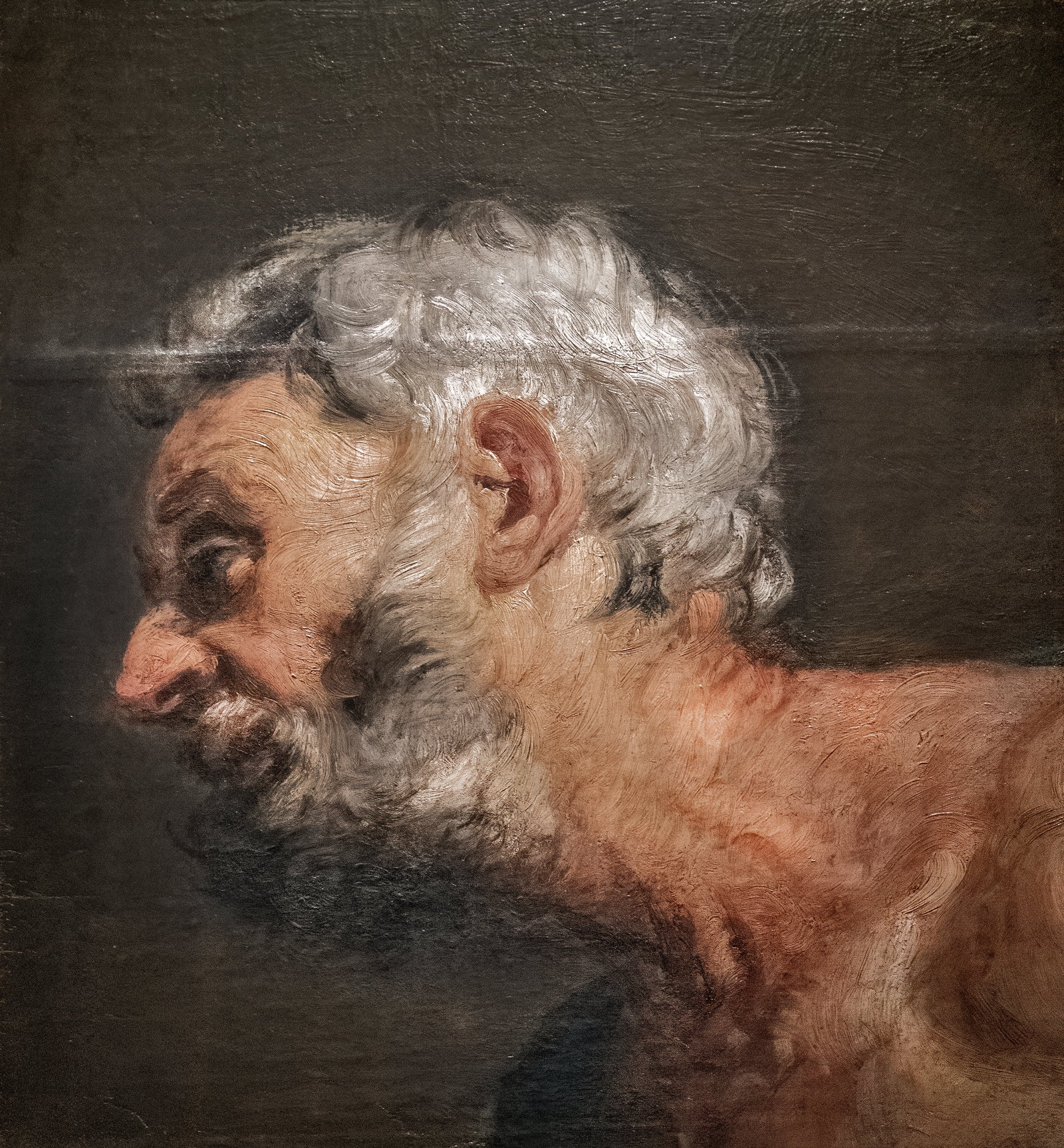 testa di vecchio