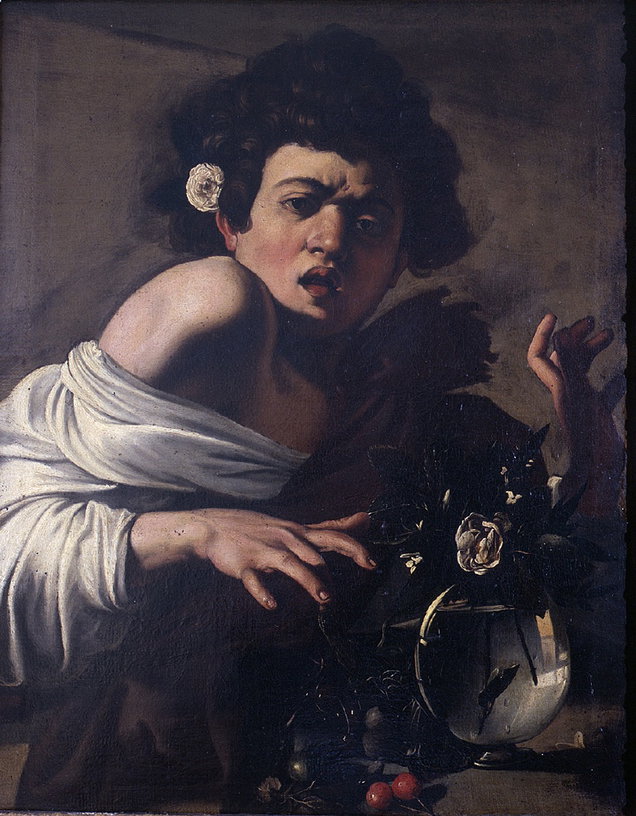 Fanciullo morso da un ramarro (dipinto) di Merisi Michelangelo detto Caravaggio  
